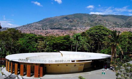Jardín Botánico: the Free Medellín Botanical Gardens