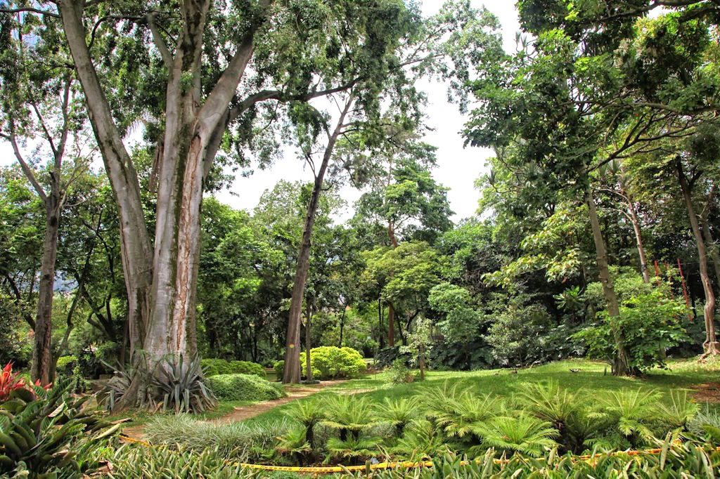 Jardín Botánico, photo by Jenny Bojinova