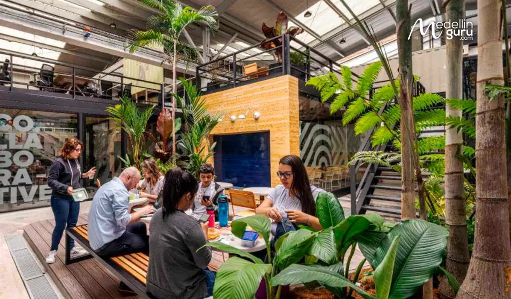 Digital nomads and remote workers in a coworking space in Medellin with ample natural light and greenery