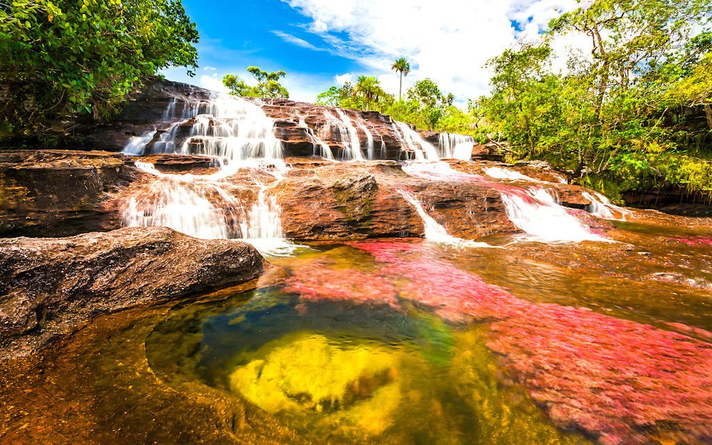 Caño Cristales: The Most Beautiful River in the World