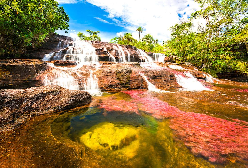 The most beautiful river in the world: Caño Cristales