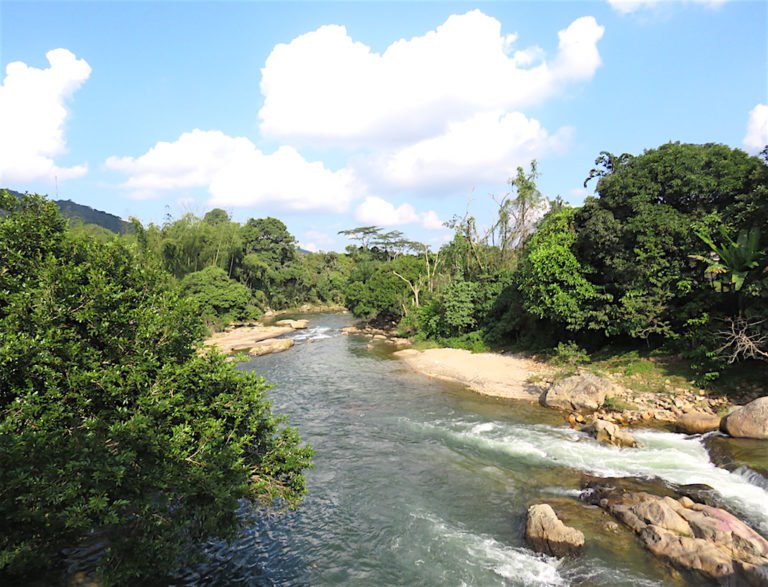 San Carlos: An Amazing Undiscovered Pueblo Near Medellín