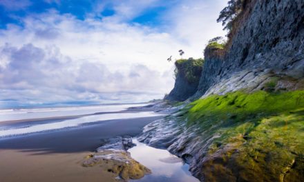 Top 12 Things to See and Do on Colombia’s Pacific Coast