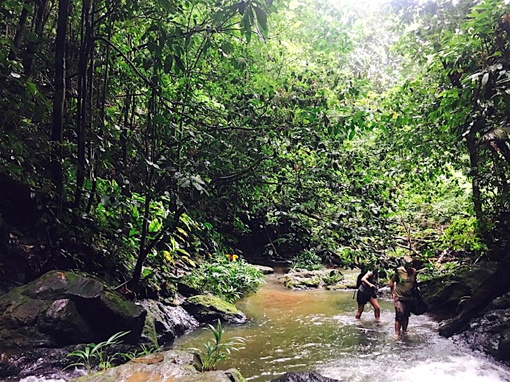 vandring i Jard Exceptronn Botanico del Pacifico, foto av Hannah Nia