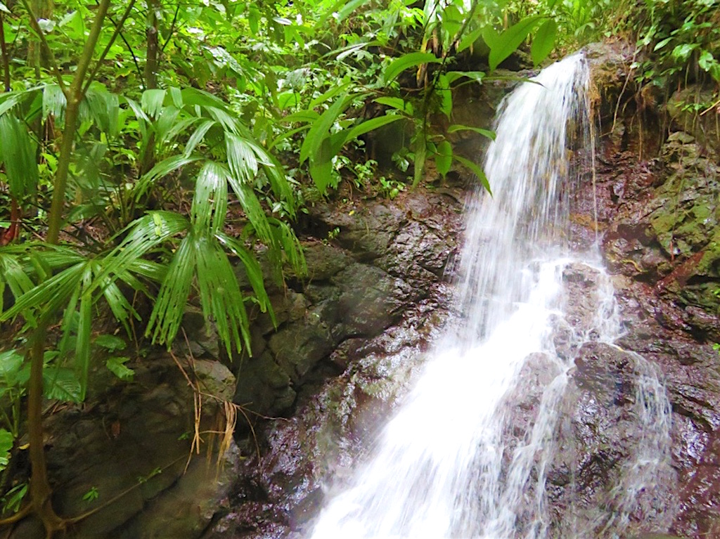 Cachoeira perto de Juribirá, foto por Roisin Mulligan