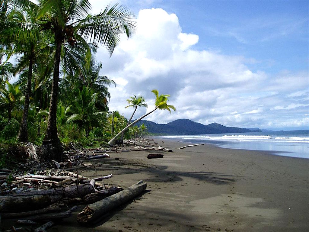 Grey and black sand Pacific coast beach, photo courtesy of Humpback Turtle Hostel