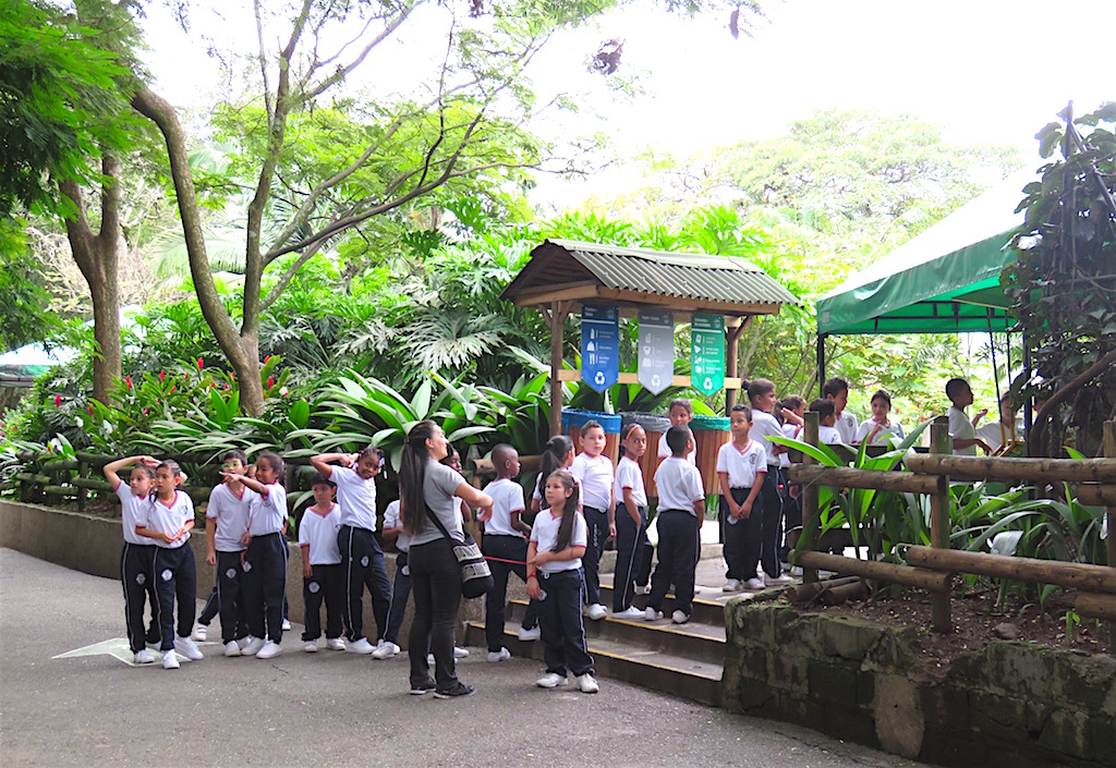 Parque Zoológico Santa Fe A Guide to the Medellín Zoo