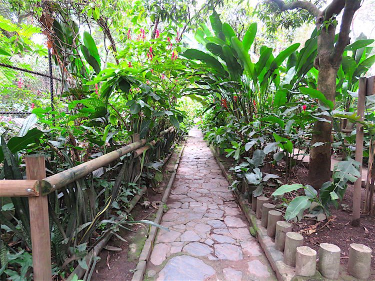 Parque Zoológico Santa Fe A Guide to the Medellín Zoo