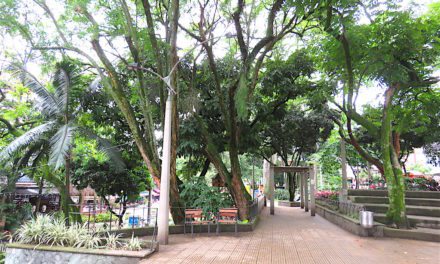Parque Lleras: A Guide to Medellín’s Top Nightlife District