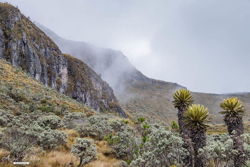 One of the many views inside Parque Nacional Natural Los Nevados