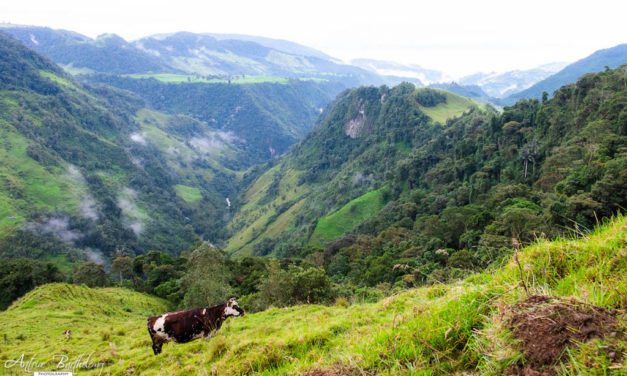 Los Nevados: A Guide to Parque Nacional Natural Los Nevados