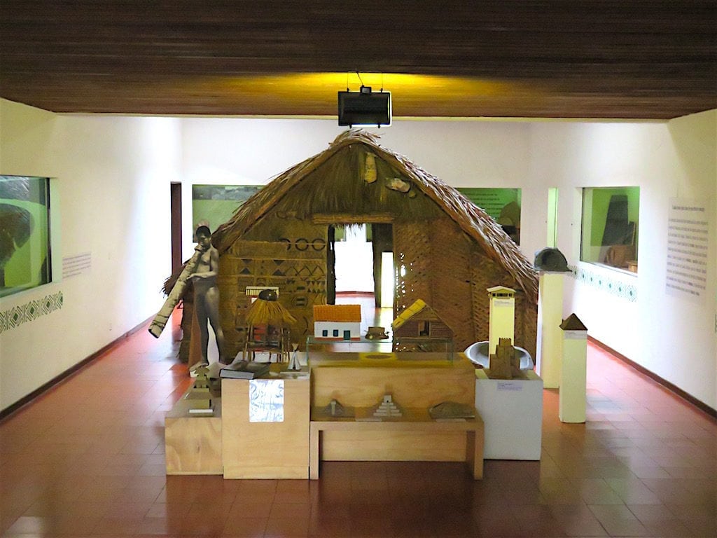 Habitat exhibit in the Amazon Hall