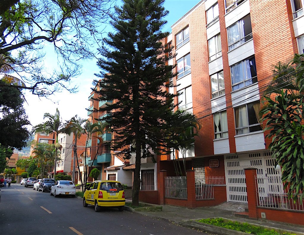 Apartment buildings along a tree-lined streets in La América