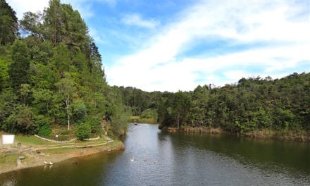 Piedras Blancas: An Ecological Park Near Medellín Worth Visiting