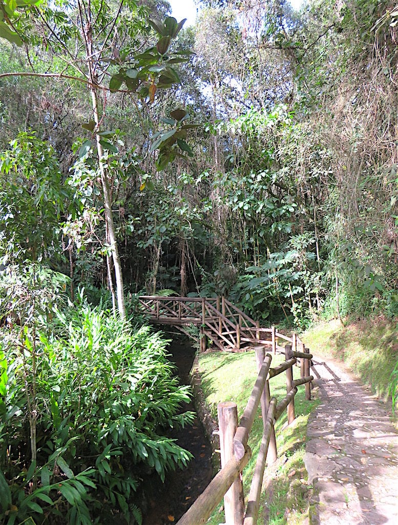 One of many paths in the park