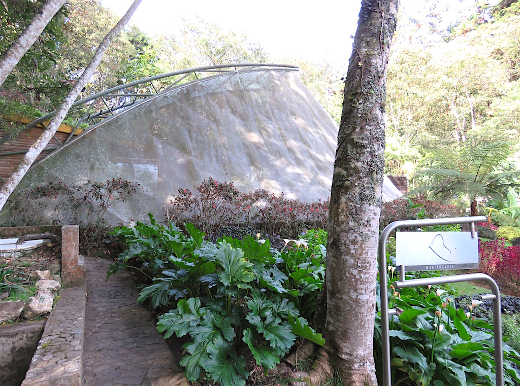 Piedras Blancas An Ecological Park Near Medellín Worth Visiting