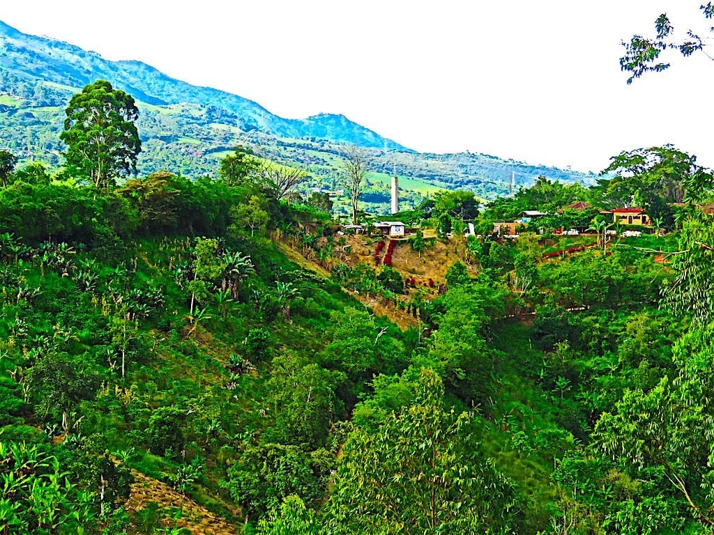 One of the views of the nearby area while climbing Cerro de la Virgen