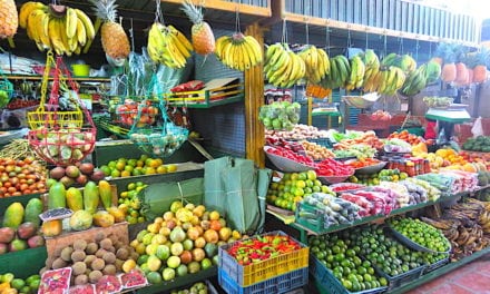 Plaza Minorista: A Guide to Medellín’s Farmers Market