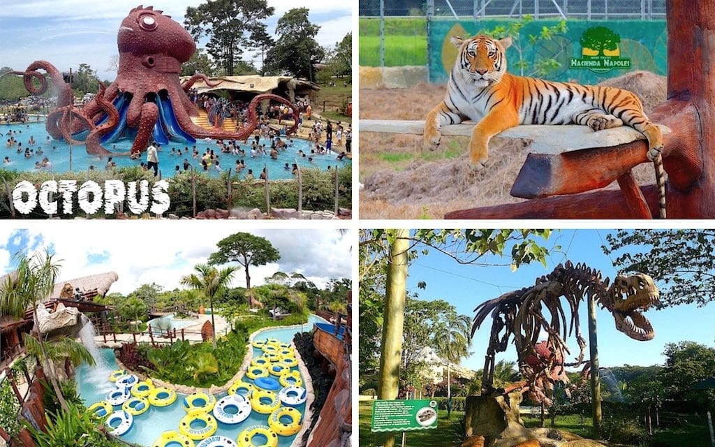 Hacienda Napoles: Pablo Escobar’s Former Estate Turned Theme Park