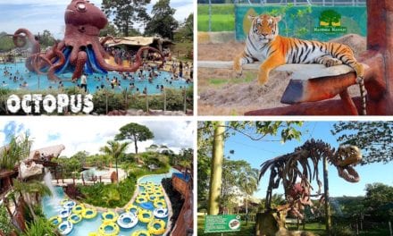 Hacienda Napoles: Pablo Escobar’s Former Estate Turned Theme Park