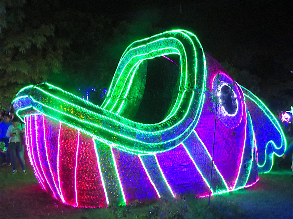One of several fish Christmas lights displays