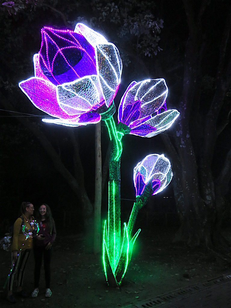 One of several flower Christmas lights displays