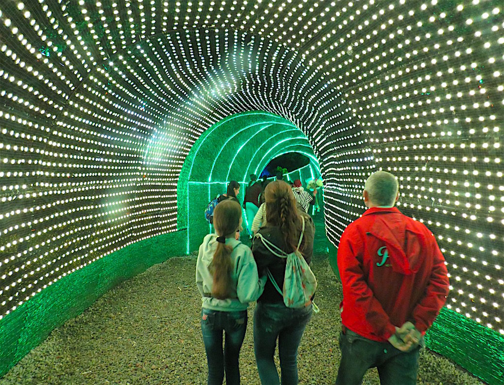 Walking inside the gator