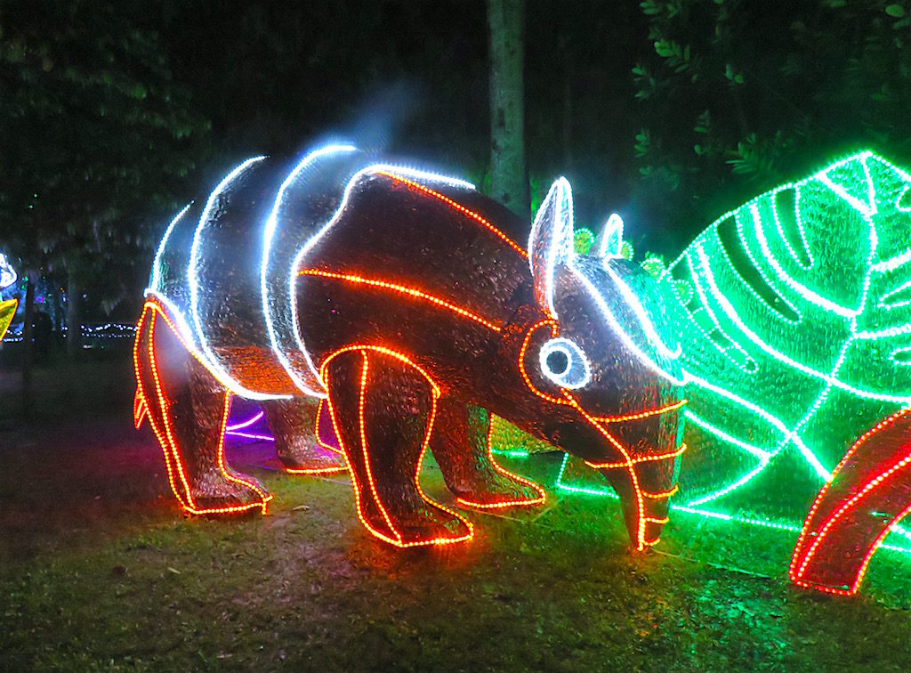 An anteater Christmas lights display