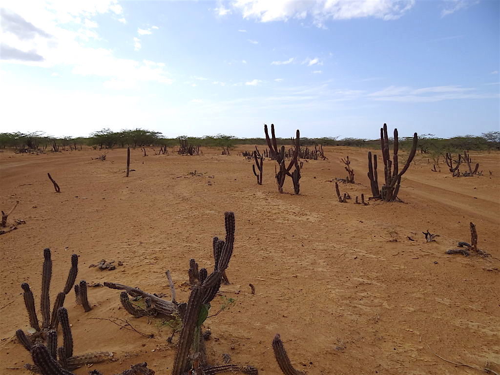 The desert in La Guajira, photo by Uhkabu
