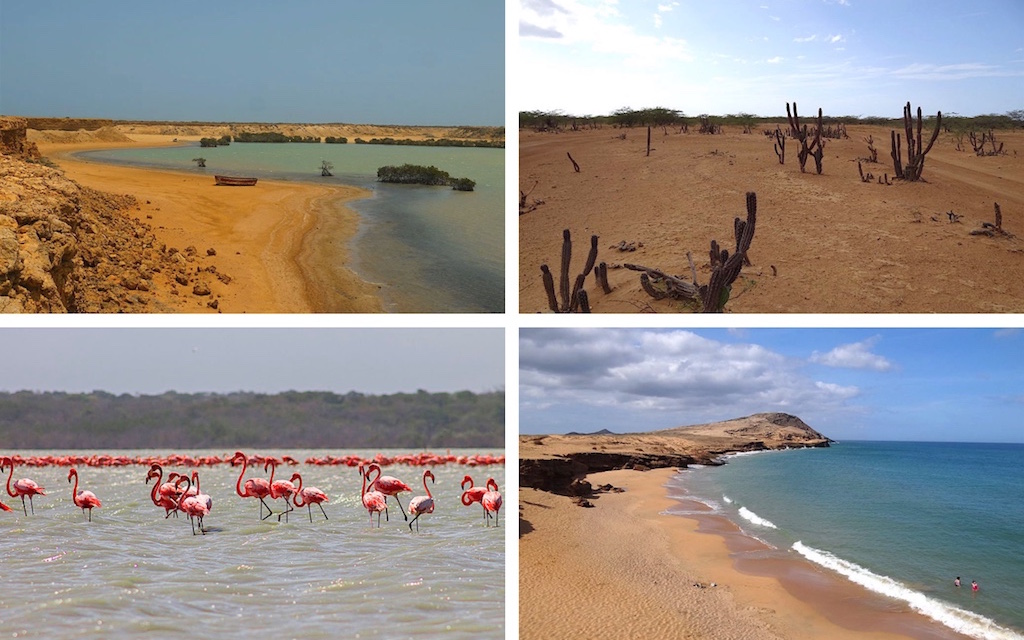 La Guajira: A Guide to Where the Desert Meets the Sea in Colombia - Medellin Guru