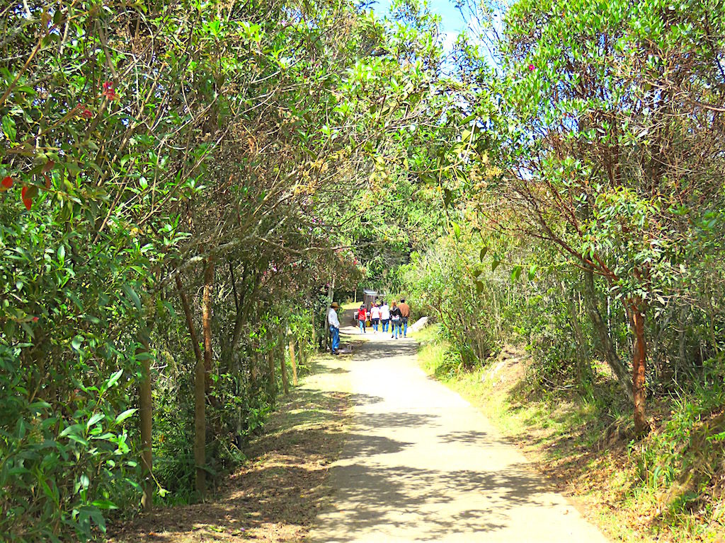 One of many hiking trails in the park