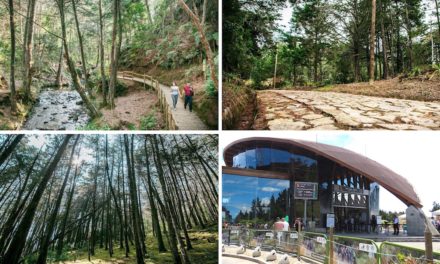 Parque Arví: The Ultimate Guide to Medellín’s Parque Arví
