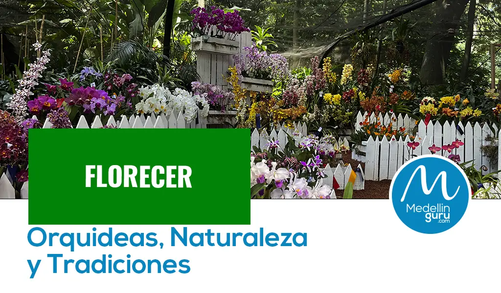 Orquideas, Naturaleza y Tradiciones