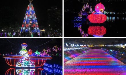 Alumbrados 2019 Photos: Medellín’s World-Class Christmas Lights