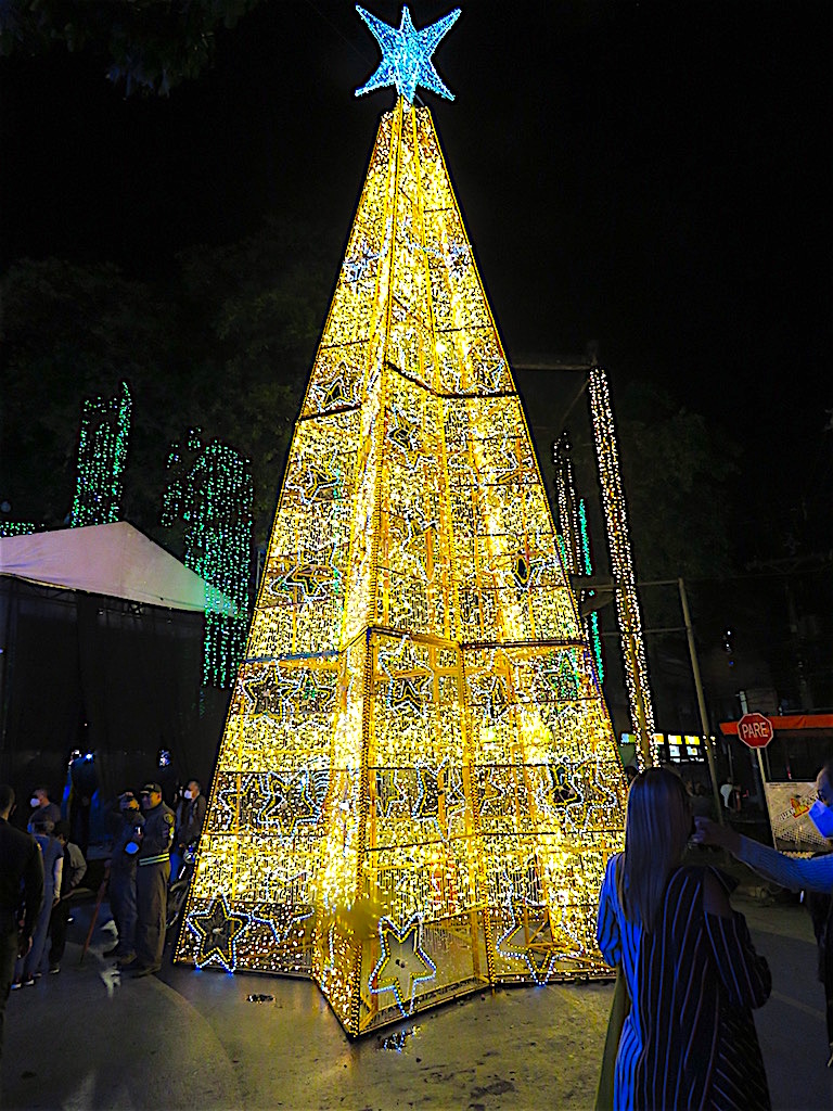 Christmas tree at Parque Sabaneta in 2020