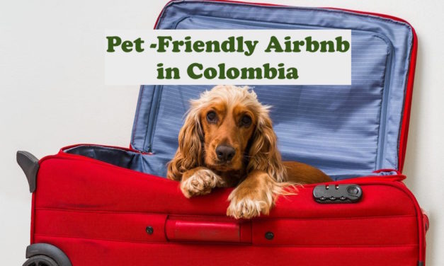 Why Airbnb Hosts in Colombia Should Consider A Pet Friendly Airbnb