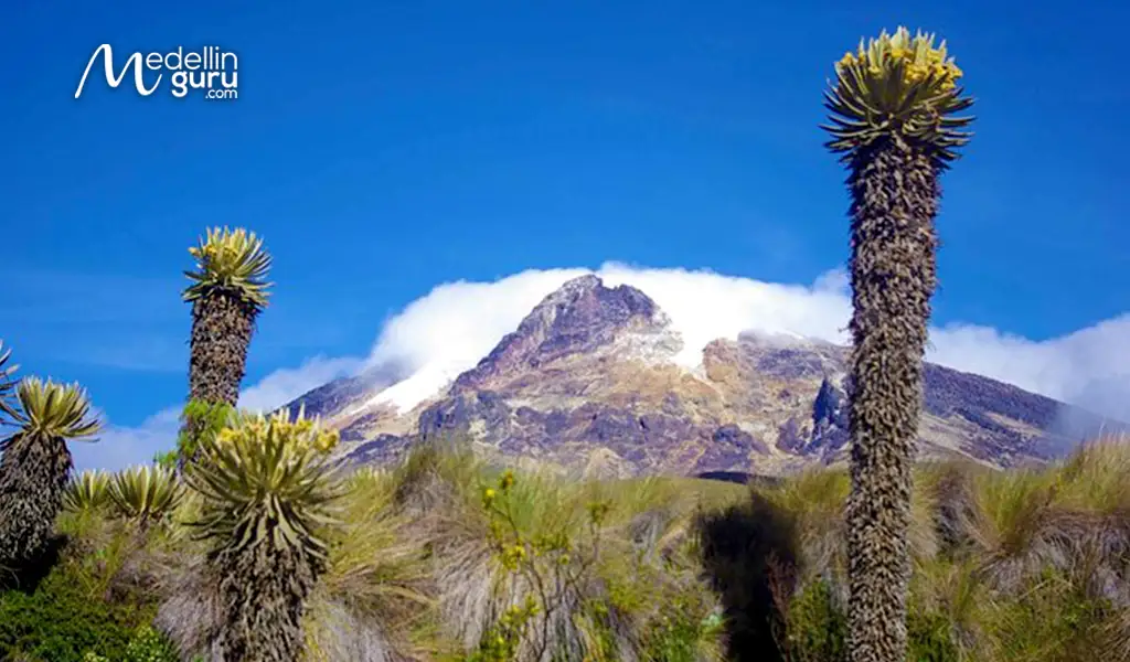 Los Nevados National Park in Manizales. Photo by Viator