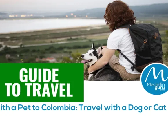 How to Travel to Colombia with a Pet: Dog or Cat – Guide 2025