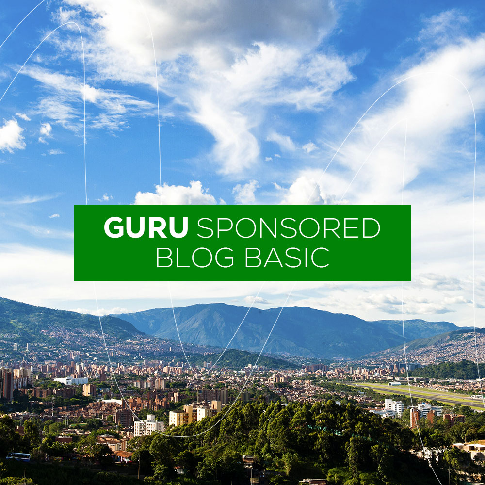 Guru Sponsored Blog Basic 1000x1000