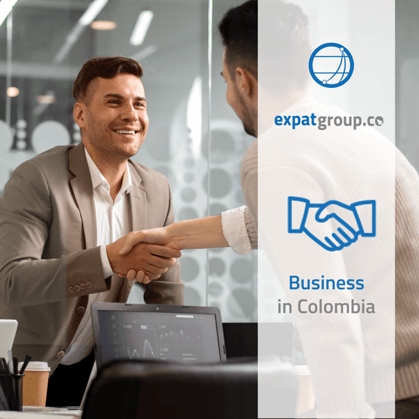 expatgroup.co visa services