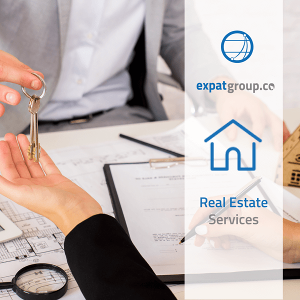expatgroup.co visa services