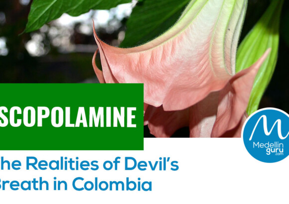 Scopolamine: The Realities of Devil’s Breath in Colombia – Update 2024