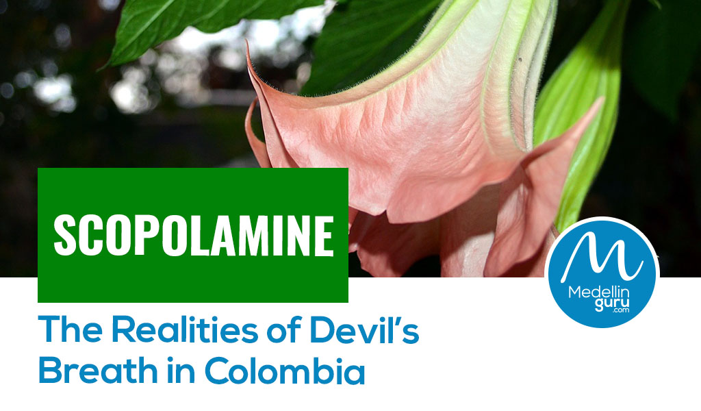 Scopolamine The Realities of Devil’s Breath in Colombia