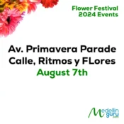 Av. Primavera Parade Calles Ritmos y Flores