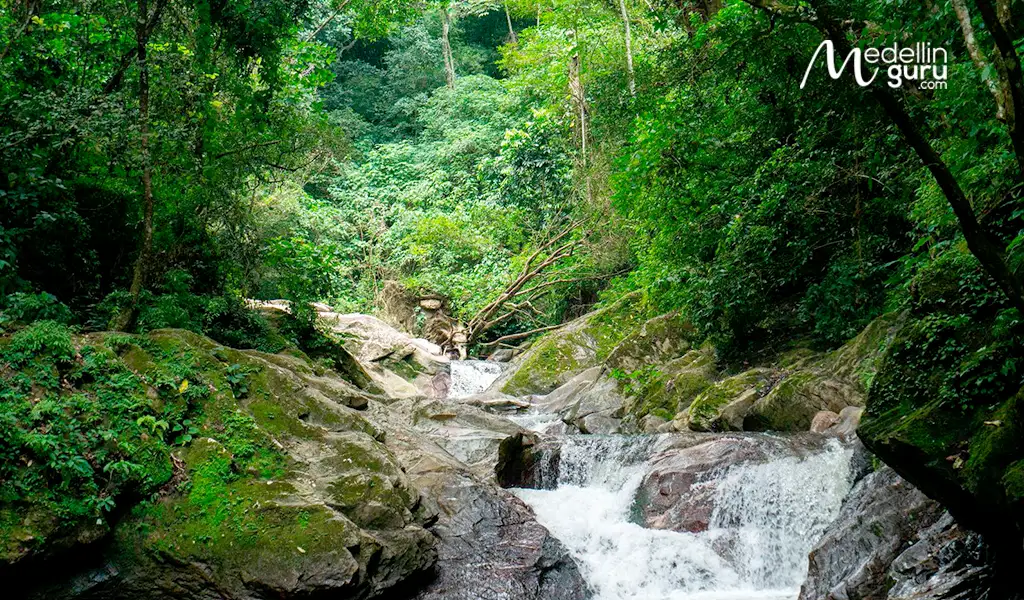 Minca in Santa Marta is an ecological destination for tourist