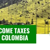 How to File Income Taxes (Declaración de Renta) in Colombia