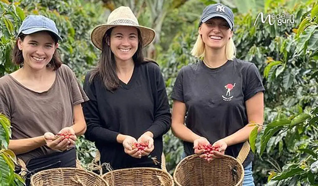 You can learn about Colombian coffee cultivation firsthand