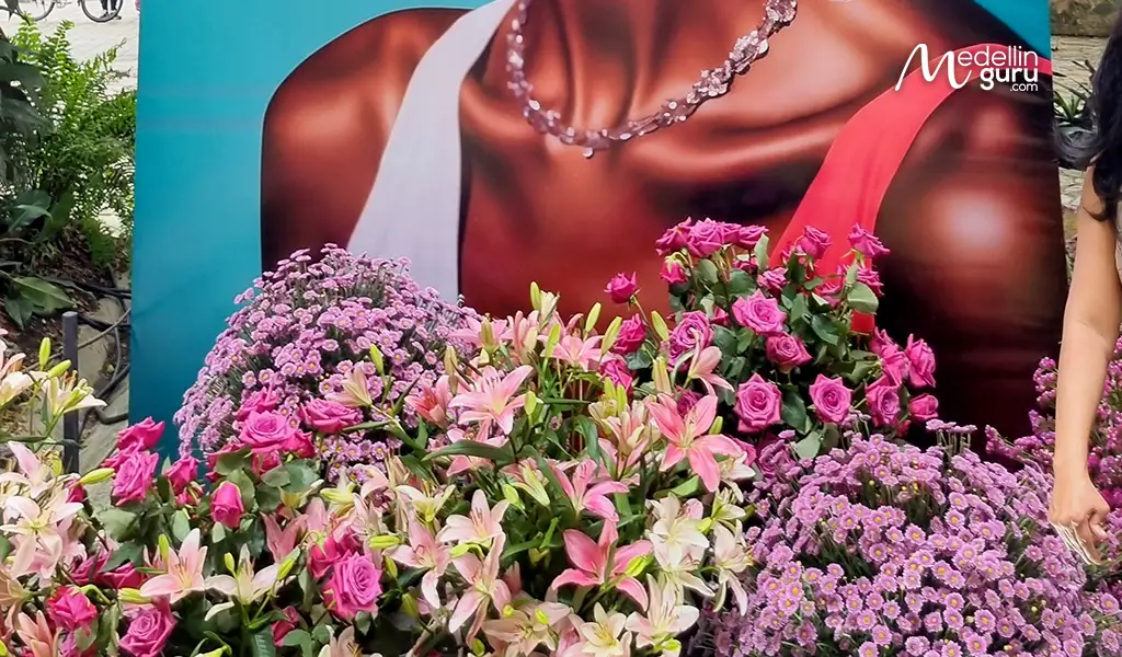 Florecer surpirses with big display of flowers