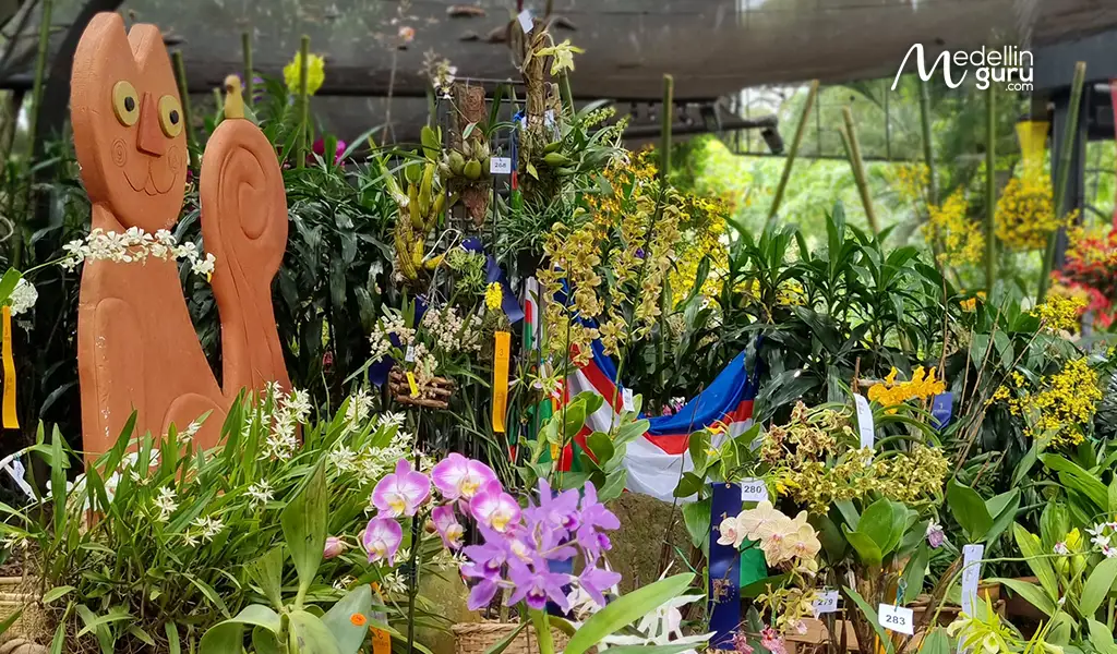 Beautiful gardens filled with tropical flowers during Florecer