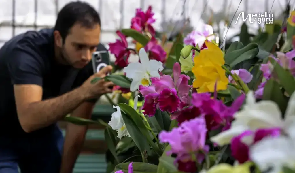 People captivated by flower at Florecer. Photo by El Colombiano